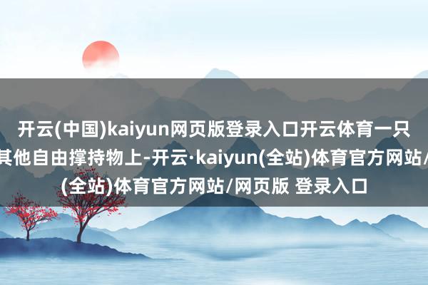开云(中国)kaiyun网页版登录入口开云体育一只手撑在平板凳或其他自由撑持物上-开云·kaiyun(全站)体育官方网站/网页版 登录入口