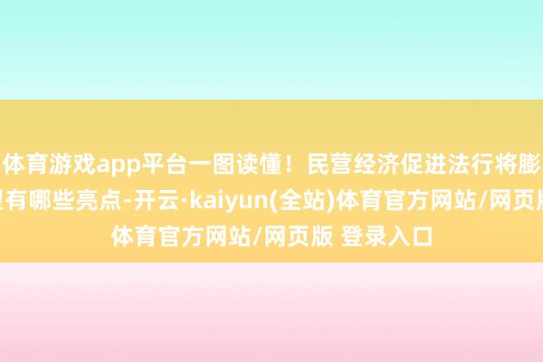 体育游戏app平台一图读懂！民营经济促进法行将膨胀，来望望有哪些亮点-开云·kaiyun(全站)体育官方网站/网页版 登录入口