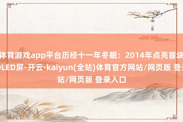 体育游戏app平台历经十一年冬眠：2014年点亮首块印刷OLED屏-开云·kaiyun(全站)体育官方网站/网页版 登录入口