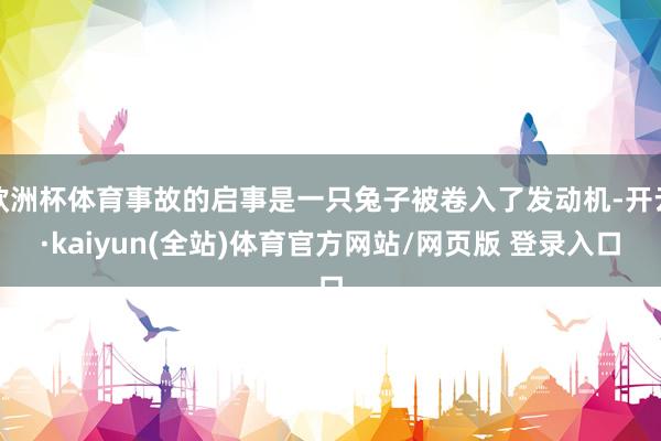 欧洲杯体育事故的启事是一只兔子被卷入了发动机-开云·kaiyun(全站)体育官方网站/网页版 登录入口
