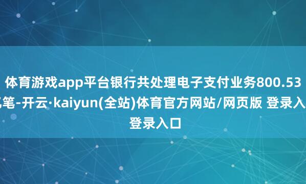 体育游戏app平台银行共处理电子支付业务800.53亿笔-开云·kaiyun(全站)体育官方网站/网页版 登录入口